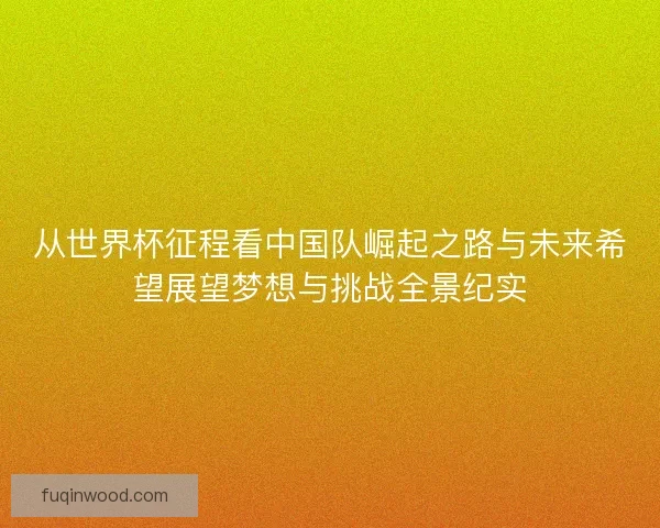 从世界杯征程看中国队崛起之路与未来希望展望梦想与挑战全景纪实