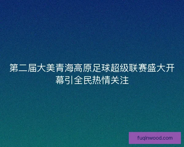 第二届大美青海高原足球超级联赛盛大开幕引全民热情关注