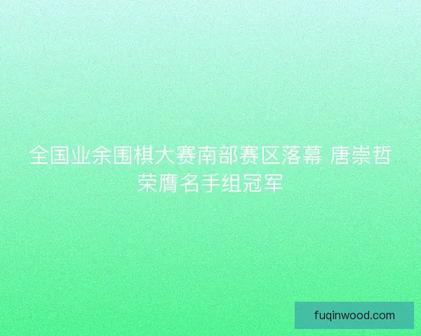 全国业余围棋大赛南部赛区落幕 唐崇哲荣膺名手组冠军