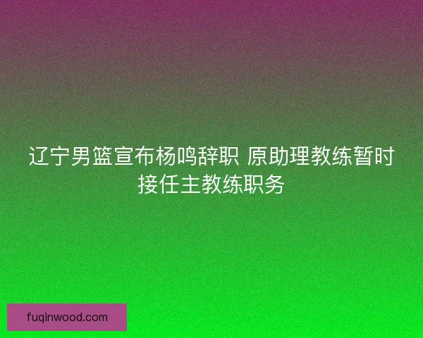 辽宁男篮宣布杨鸣辞职 原助理教练暂时接任主教练职务