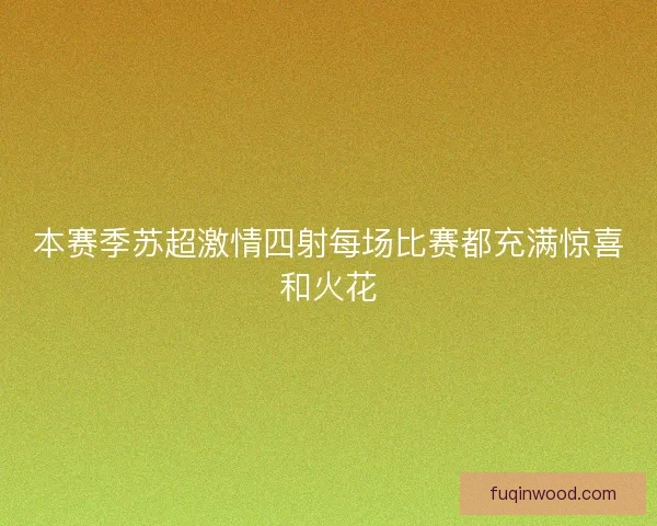 本赛季苏超激情四射每场比赛都充满惊喜和火花